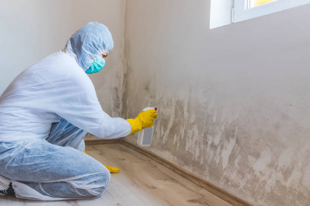 Mold Remediation specialist working in Brookfield