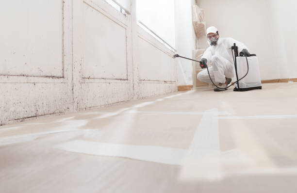 Black mold remediation team in Brookfield